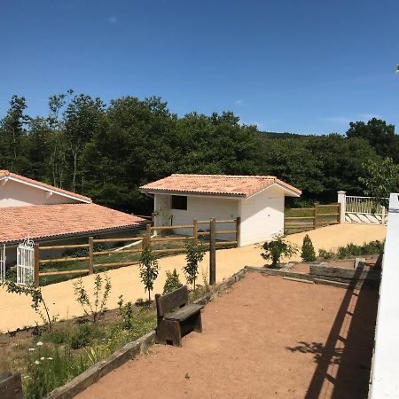 Domaine Du Mont Monnet - Chambre D'Hotes & Gite Longes Экстерьер фото
